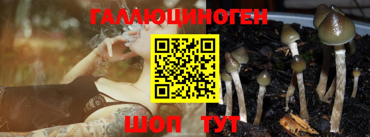 Галлюциногенные грибы Magic Shrooms Березники